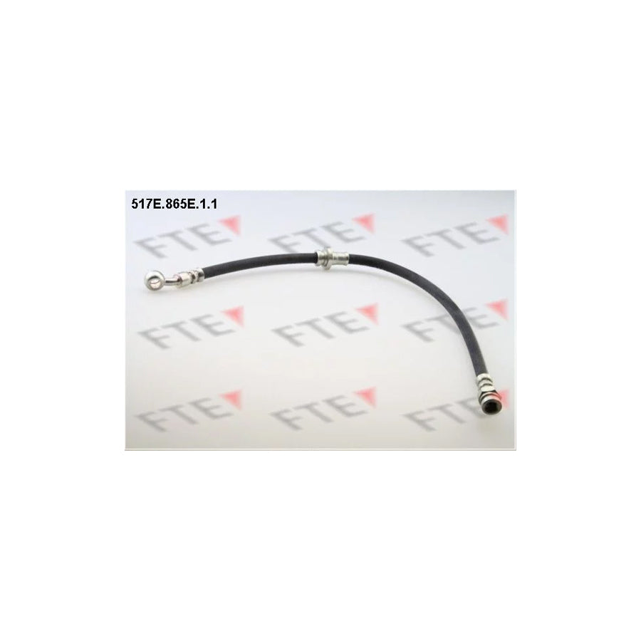 FTE 517E.865E.1.1 Brake Hose