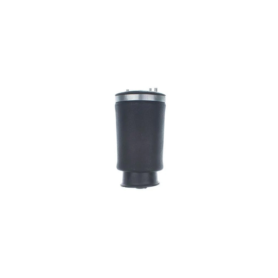 Denckermann Dsa125G Dsa125G Air Spring, Suspension for BMW 5 Touring (E39)