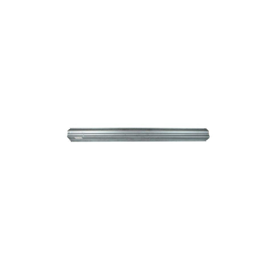 Blic 6505-06-1678015P Rocker Panel for Nissan X-Trail (T30)