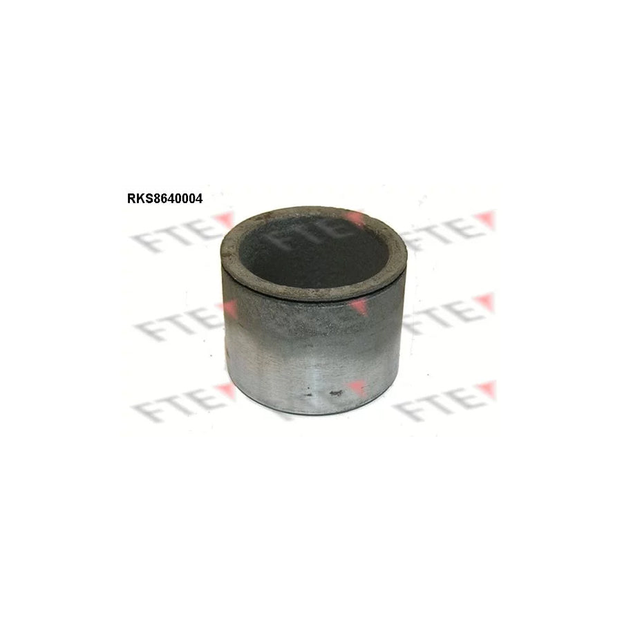 FTE 9313364 Piston, Brake Caliper