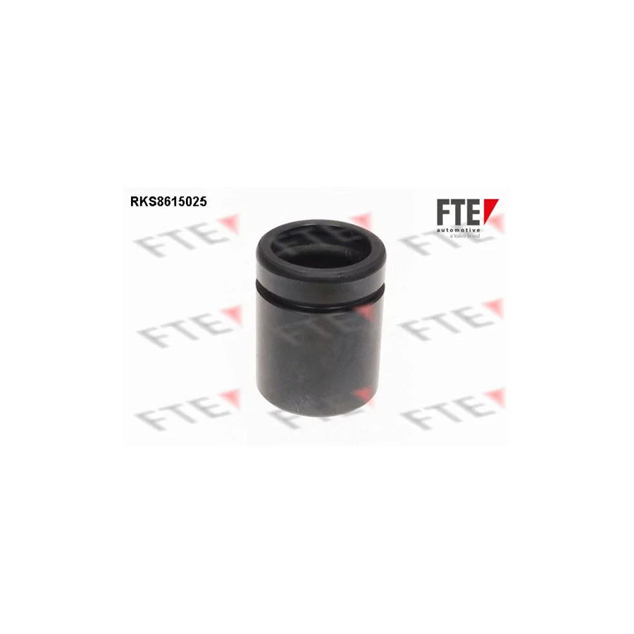 FTE Rks8615025 Piston, Brake Caliper for BMW 1 Series