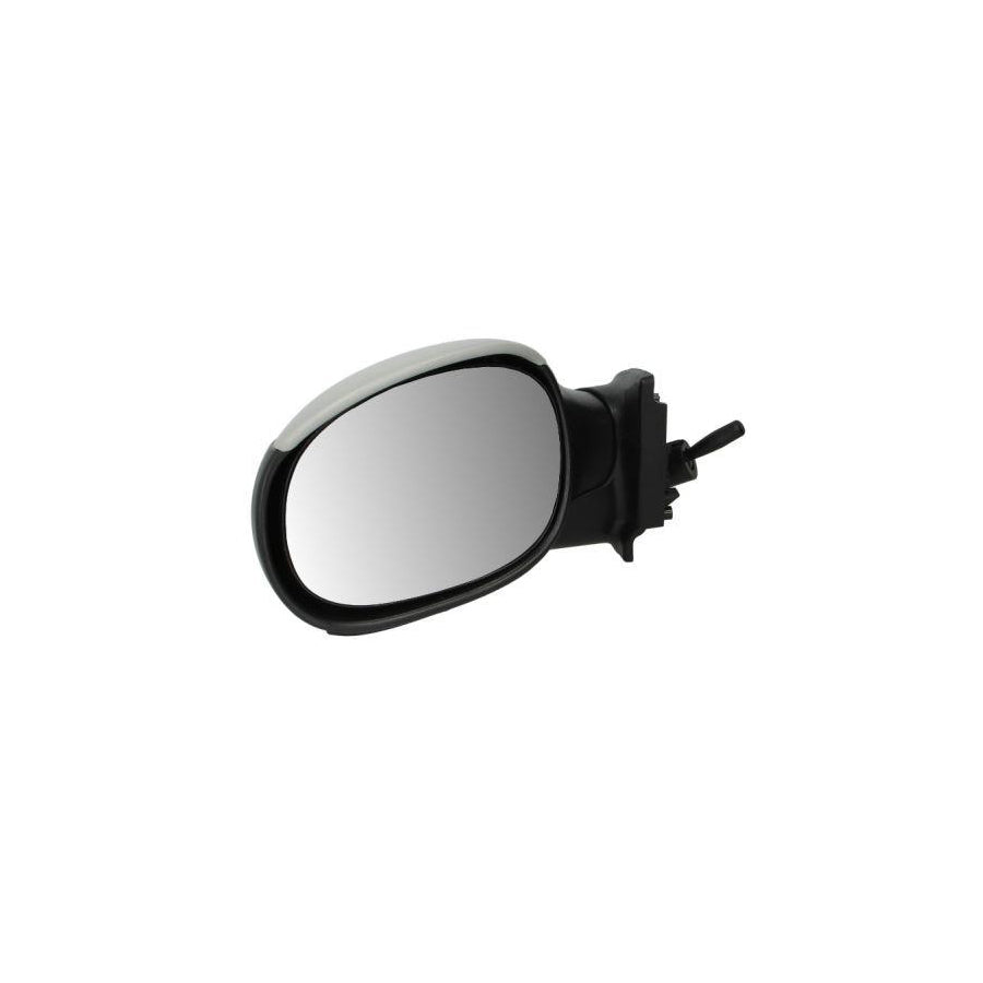 Blic 5402-04-1137851 Wing Mirror for Citroen C3 I Hatchback (Fc, Fn)