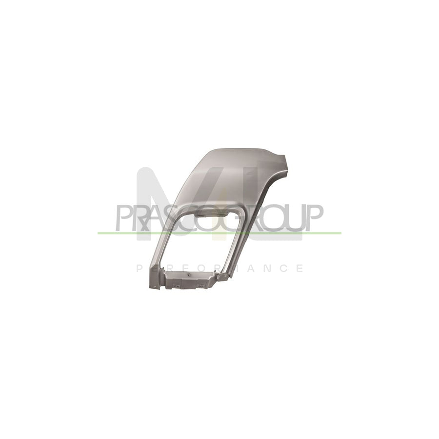 PRASCO LR7002154 Exhaust tip for LAND ROVER Range Rover Evoque (L538) Silver, Rear Axle Left