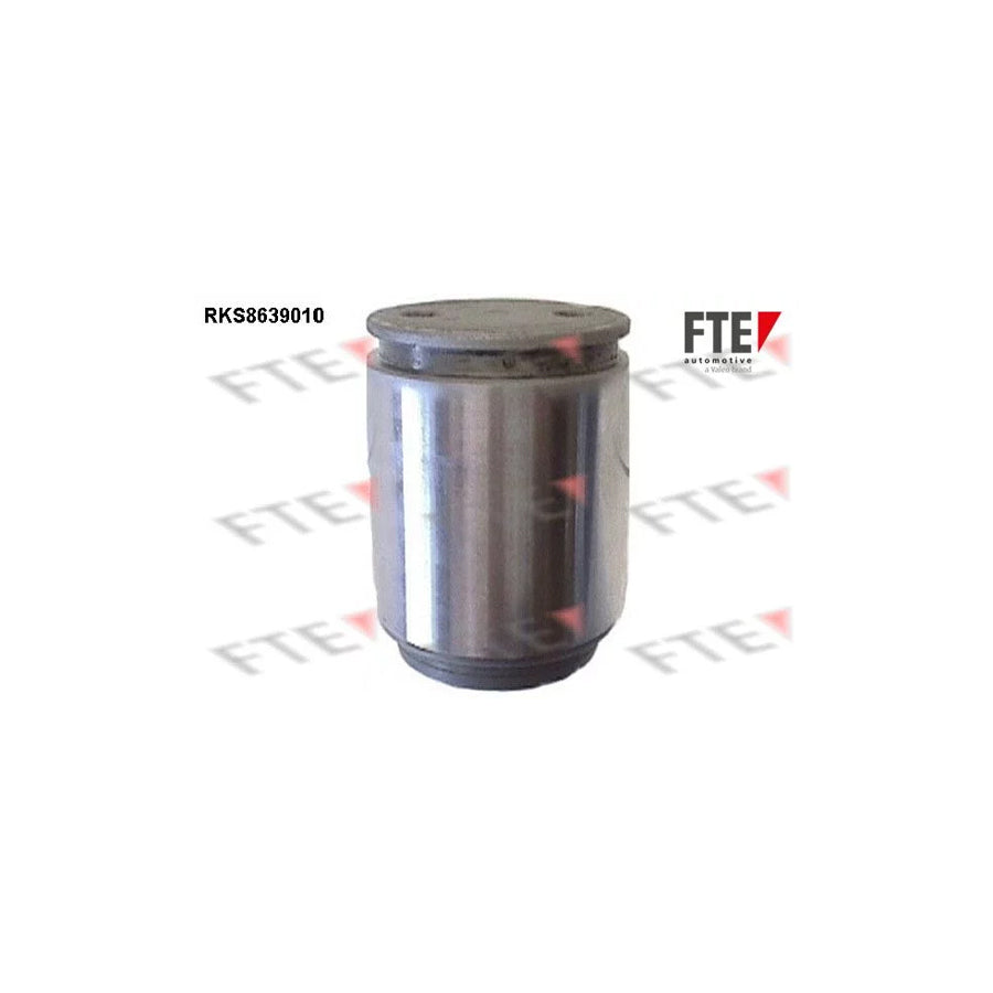 FTE 9313361 Piston, Brake Caliper