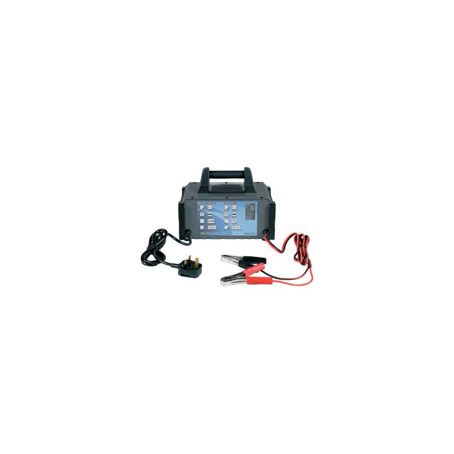 RING RCB320 20A 12V Fully Auto Battery Charger, 80A Engine Start Metal Case