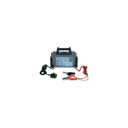 RING RCB320 20A 12V Fully Auto Battery Charger, 80A Engine Start Metal Case