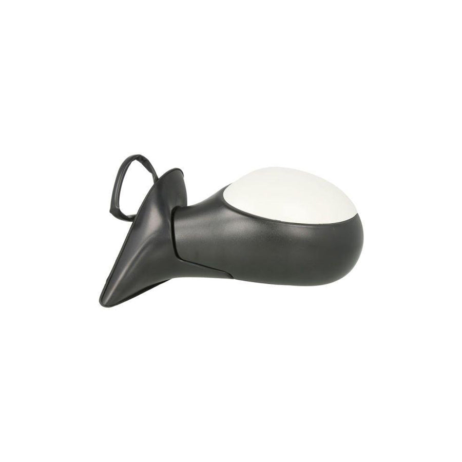Blic 5402-04-1112930P Wing Mirror for Fiat Panda II Hatchback (169)