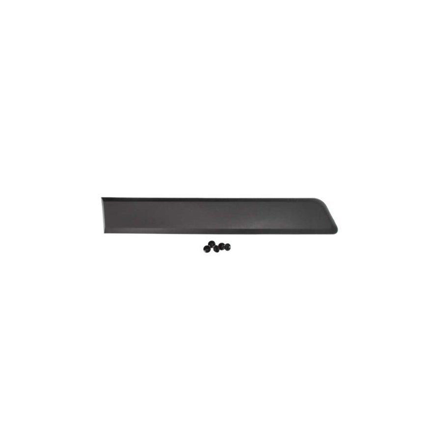 Blic 5703-04-0553574P Door Molding