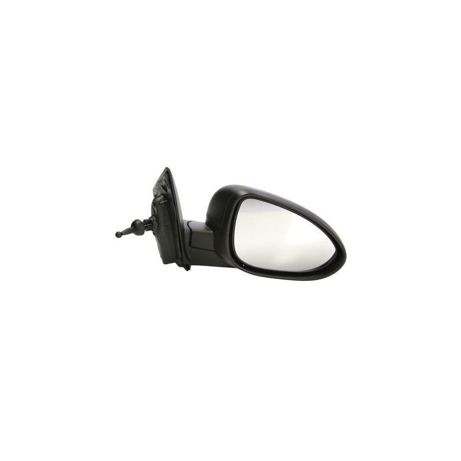 Blic 5402-56-013362P Wing Mirror for Chevrolet Aveo