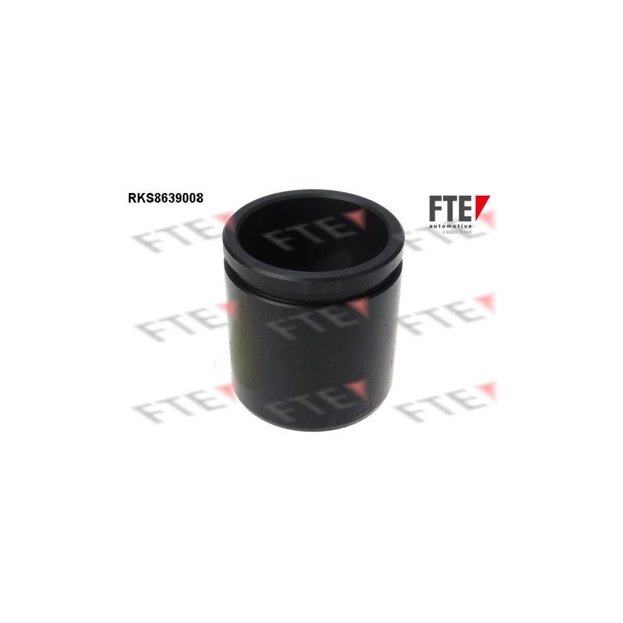 FTE 9313359 Piston, Brake Caliper for Renault Rapid Van (F40, G40)