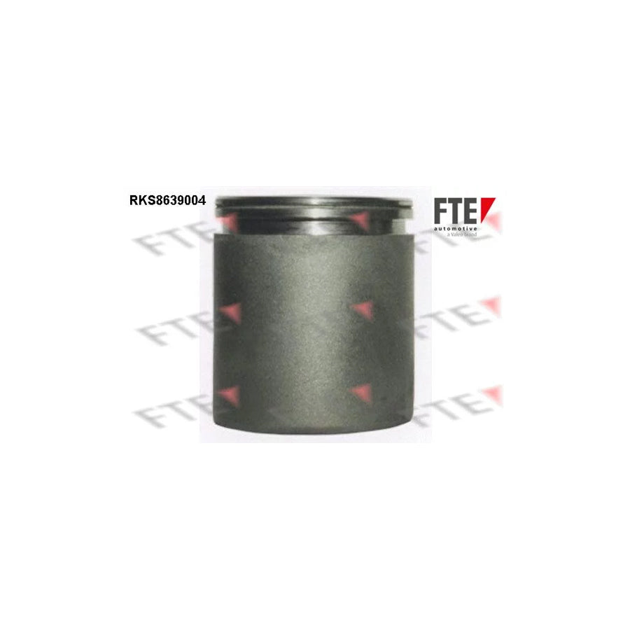 FTE 9313356 Piston, Brake Caliper
