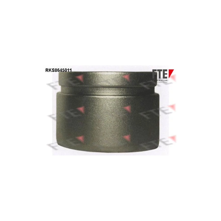 FTE 9313387 Piston, Brake Caliper for Toyota Hiace