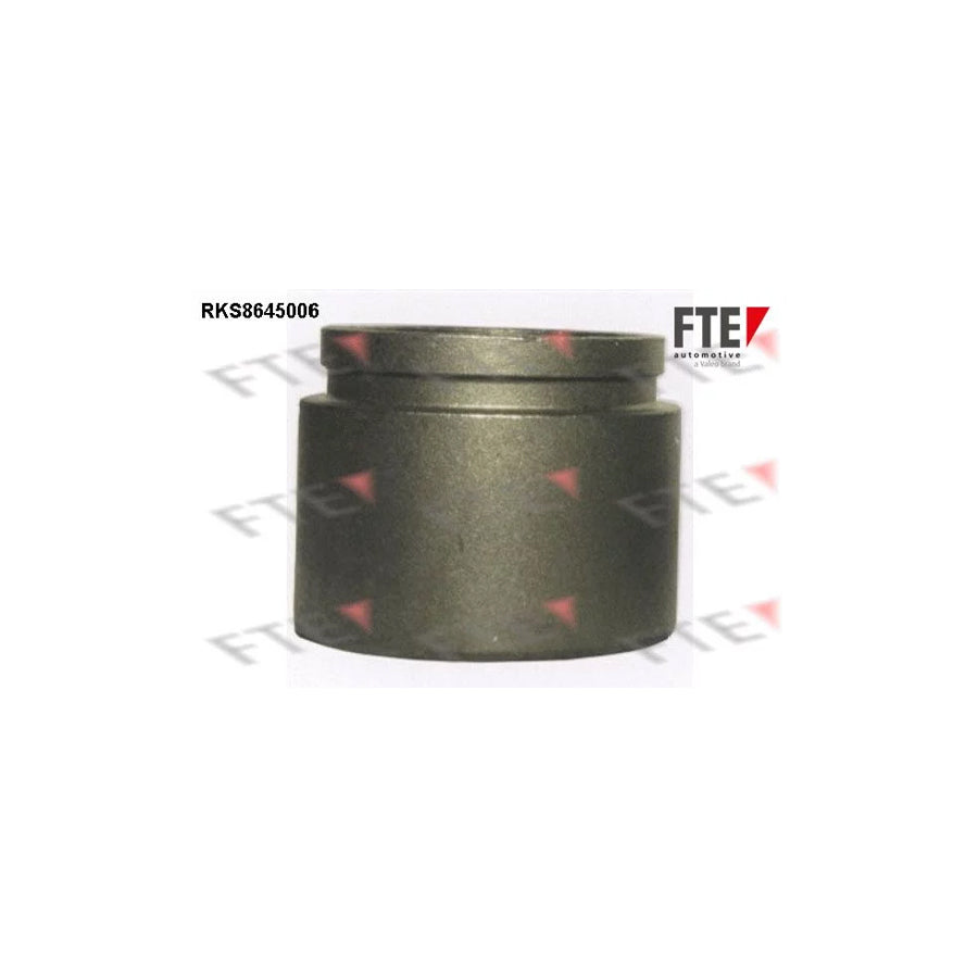 FTE 9313385 Piston, Brake Caliper