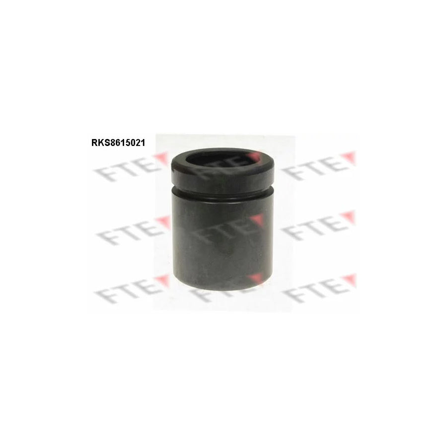 FTE Rks8615021 Piston, Brake Caliper