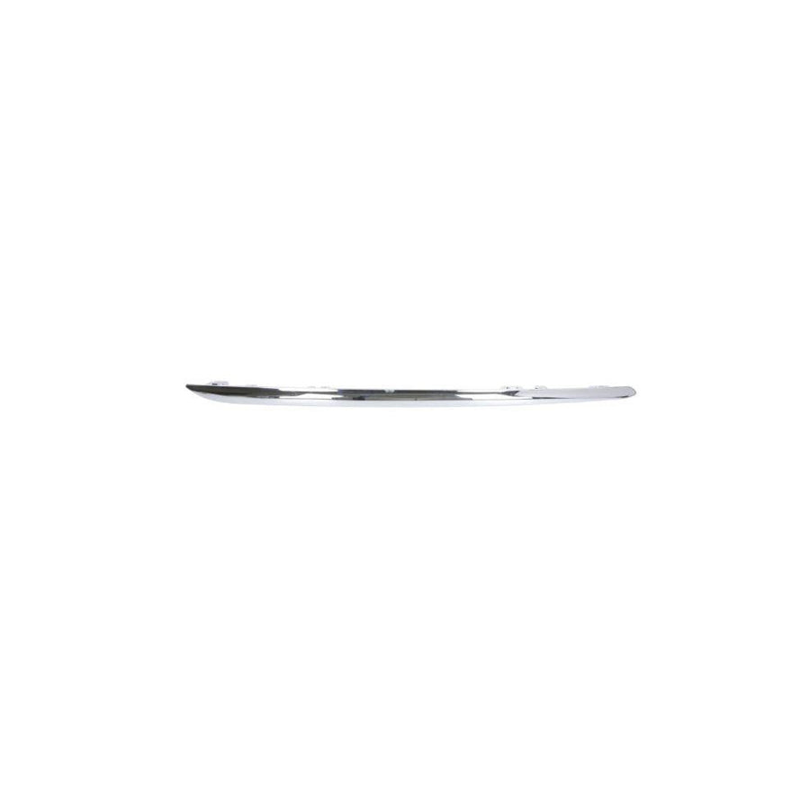 Blic 5703-05-3529974P Bumper Moulding Suitable for Mercedes-Benz E-Class