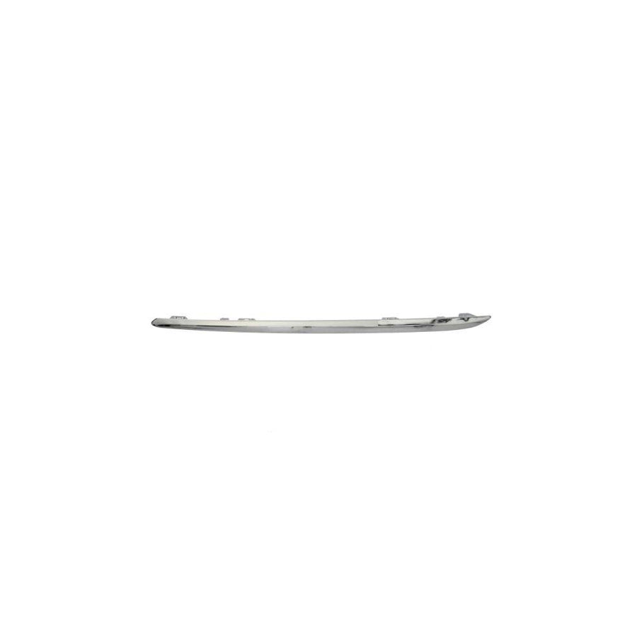 Blic 5703-05-3529973P Bumper Moulding Suitable for Mercedes-Benz E-Class