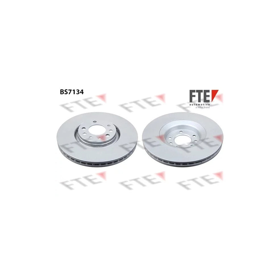 FTE Bs7134 Brake Disc