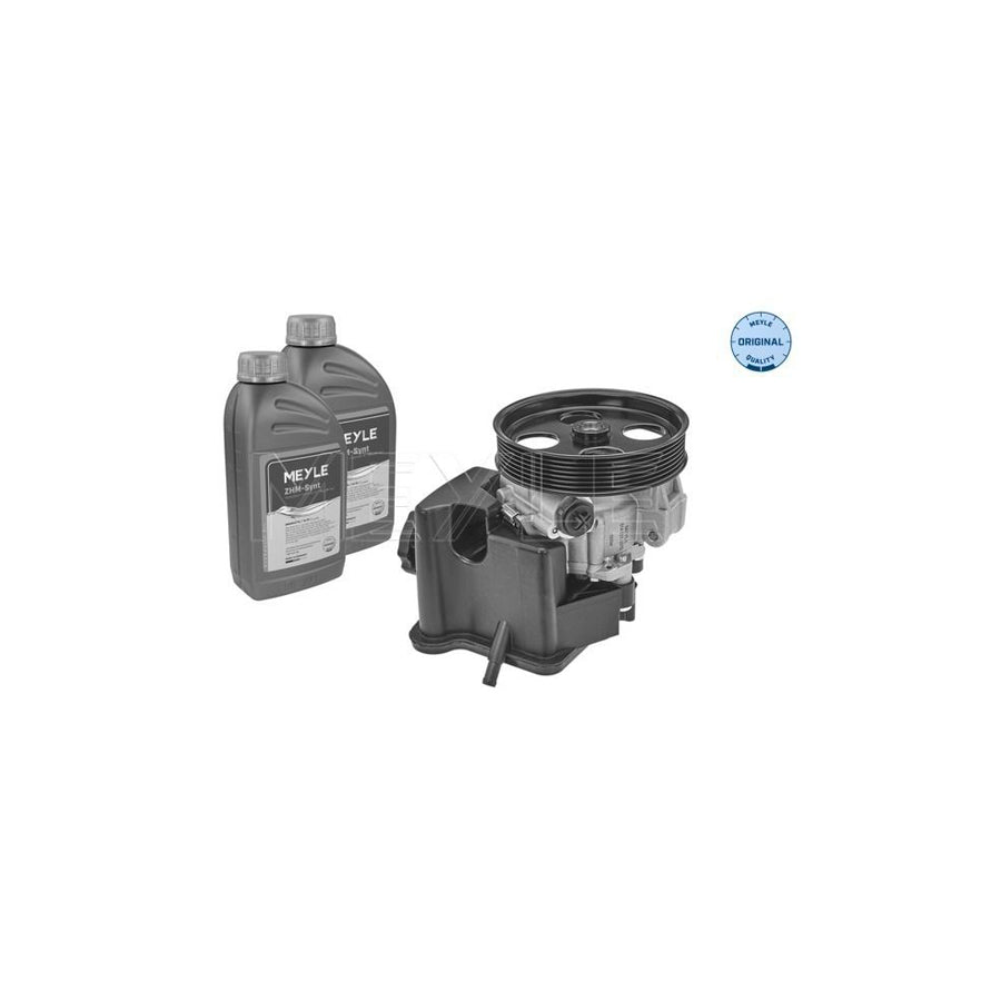 Meyle 014 631 0010/S Power Steering Pump