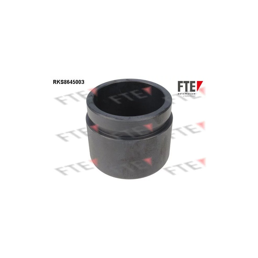 FTE 9313384 Piston, Brake Caliper