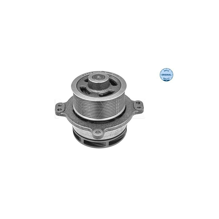 Meyle 314 171 0000 Coolant Expansion Tank