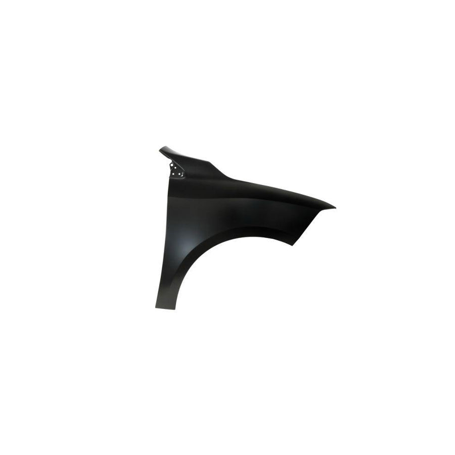 Blic 6504-04-6050312P Wing Fender for Renault Fluence (L3_)
