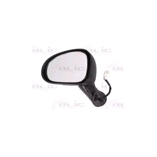 Blic 5402-56-2001075P Wing Mirror