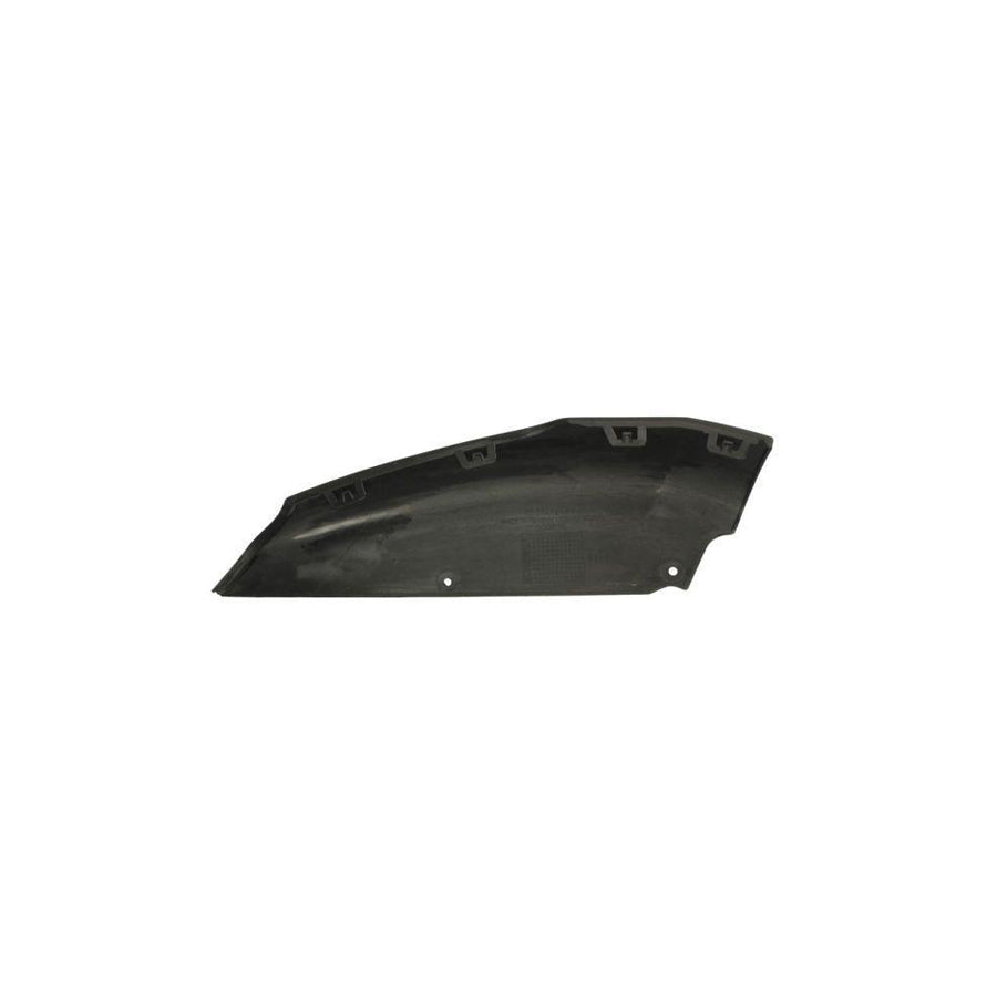 Blic 6502-07-3583924P Bumper Moulding Suitable for Mercedes-Benz Gla (X156)