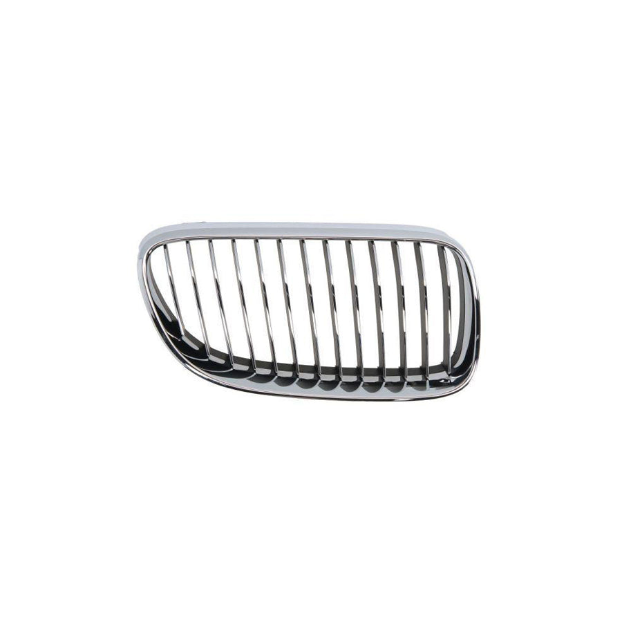 Blic 6502-07-00629916Pp Radiator Grille for BMW 3 Series