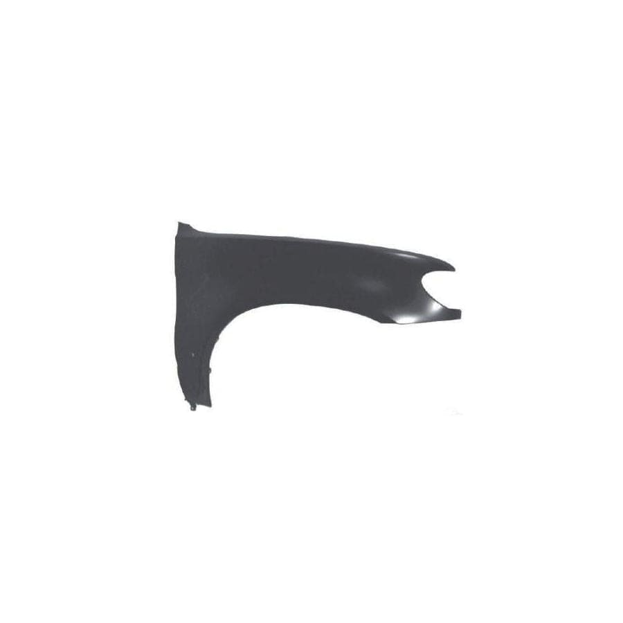 Abakus 00425212 Wing Fender for BMW X5 (E53)