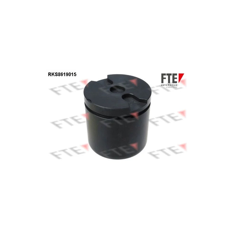 FTE Rks8619015 Piston, Brake Caliper for Citroã N C5