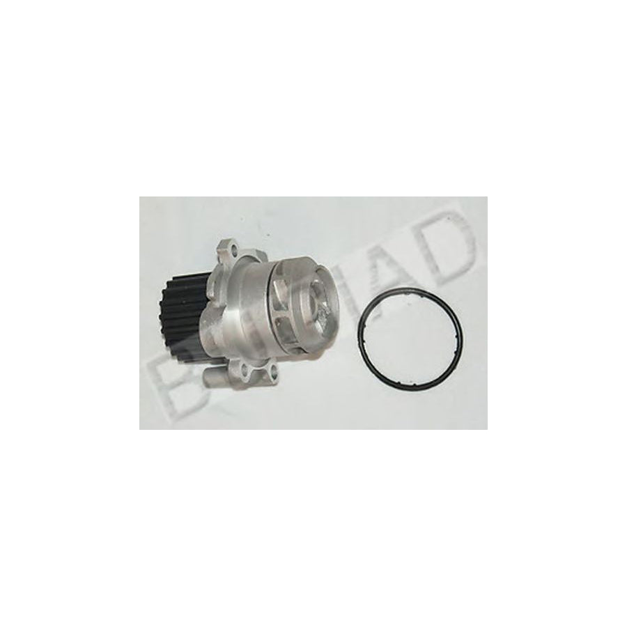 BUGIAD Bsp22138 Water Pump