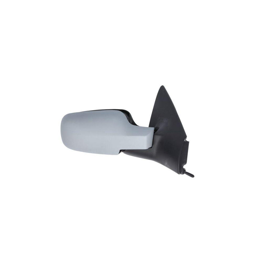 Blic 5402-04-1138228P Wing Mirror for Renault Megane