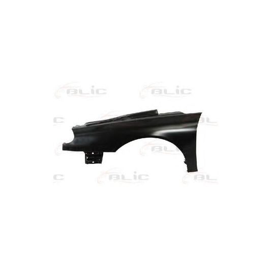 Blic 6504-04-6049311P Wing Fender for Renault Laguna