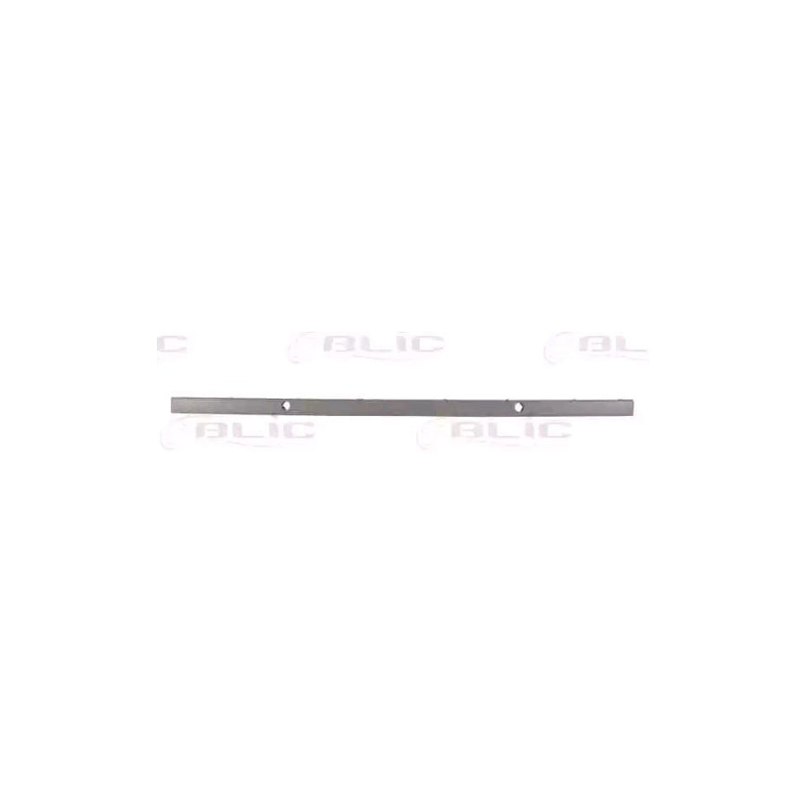 Blic 5513-00-00659713P Bumper Moulding for BMW 5 Series