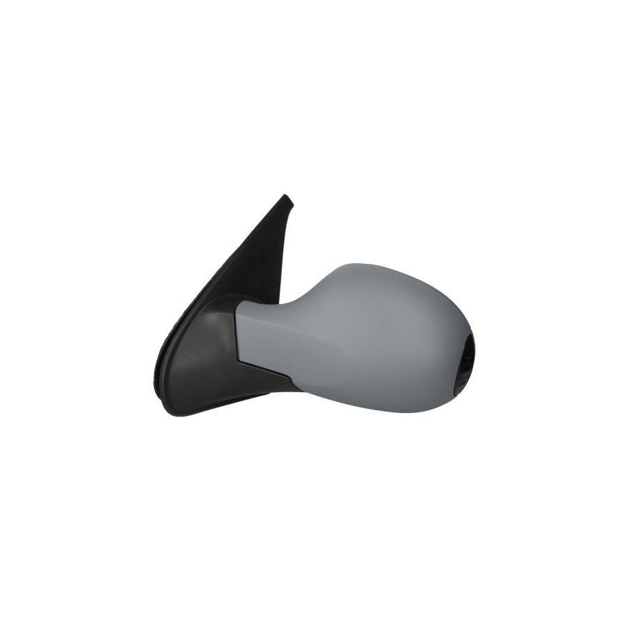 Blic 5402-09-049361P Wing Mirror for Renault Clio