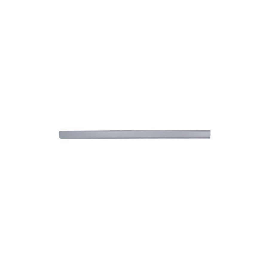 Blic 5703-04-2008575P Door Molding for Fiat Panda II Hatchback (169)