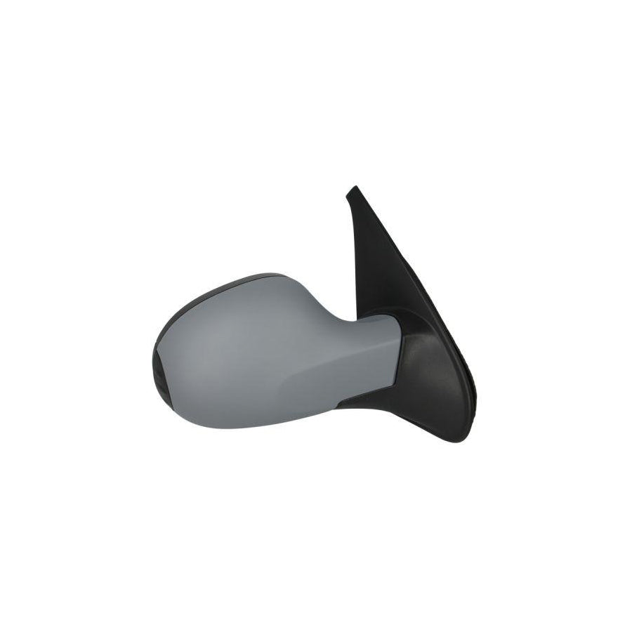 Blic 5402-09-049360P Wing Mirror for Renault Clio