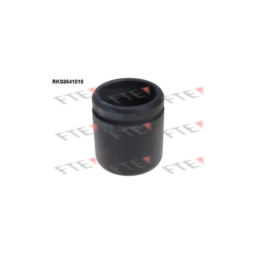 FTE 9313378 Piston, Brake Caliper Suitable for Mercedes-Benz ML-Class (W163)