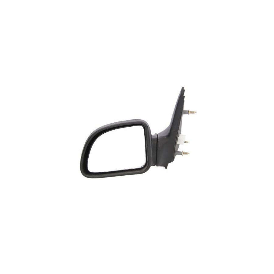 Blic 5402-09-002361P Wing Mirror for Renault Clio