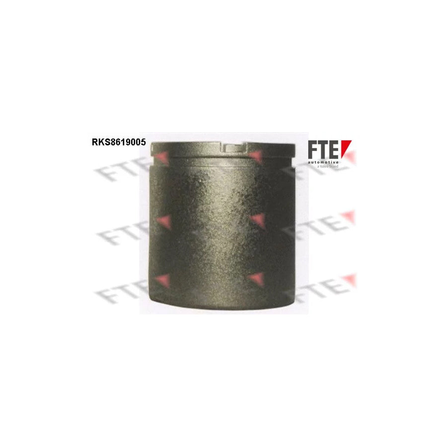 FTE Rks8619005 Piston, Brake Caliper for Citroã N Bx