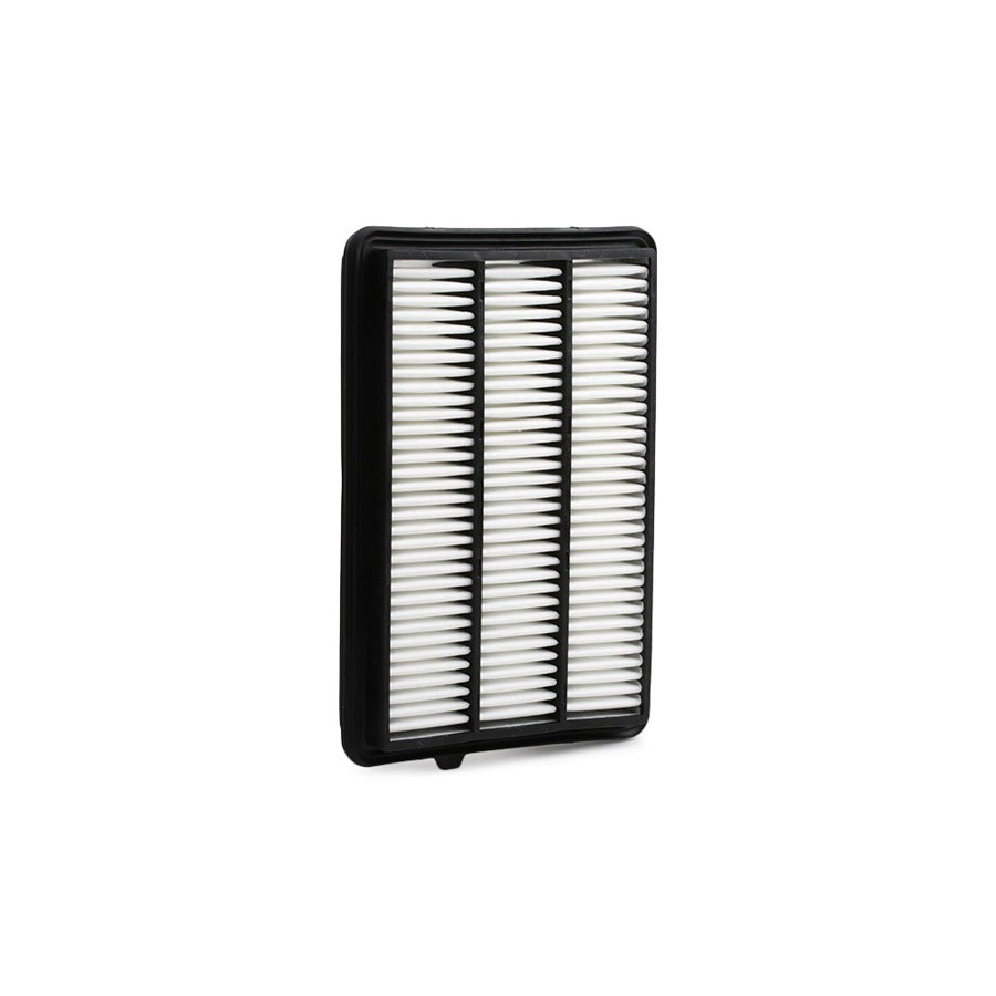 Blue Print Adn12295 Air Filter
