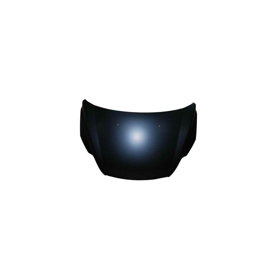 Blic 6803-00-2533281P Bonnet for Ford Focus