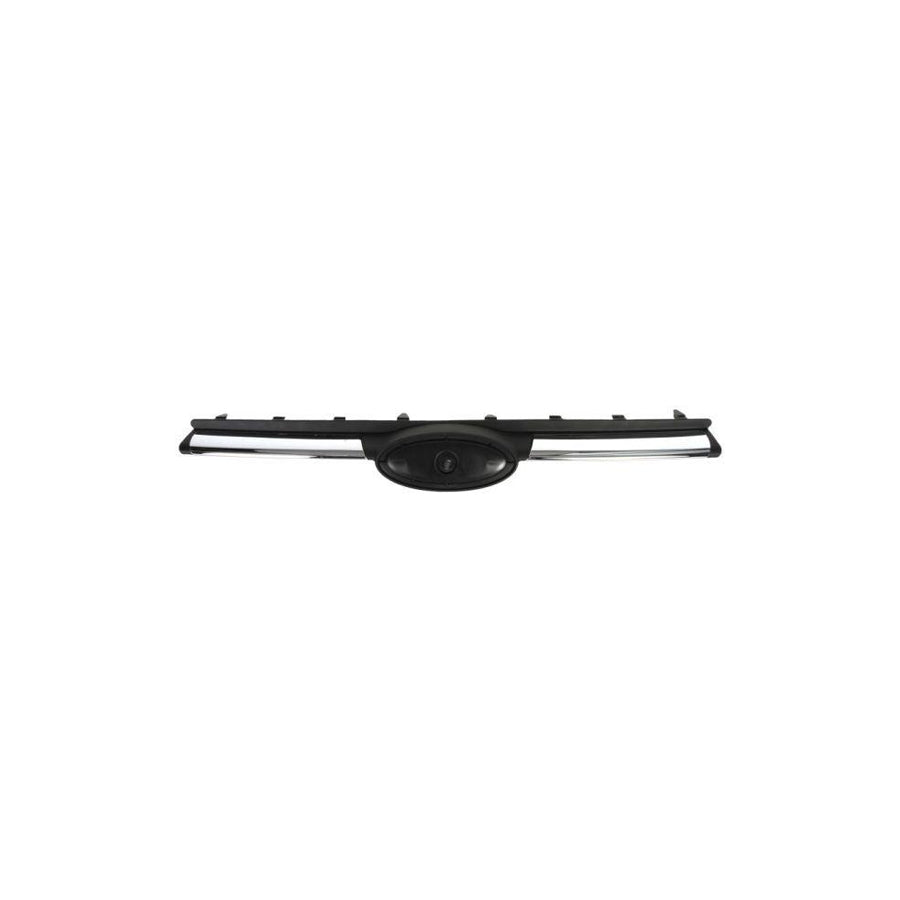 Blic 6502-07-2508991P Radiator Grille