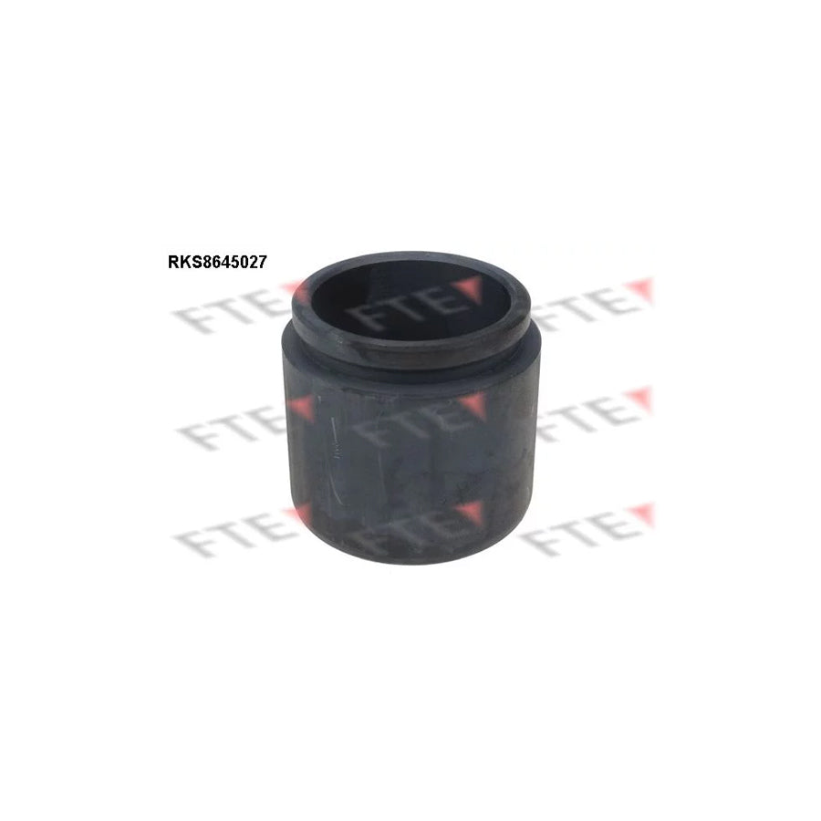 FTE 9313402 Piston, Brake Caliper for Toyota Rav 4