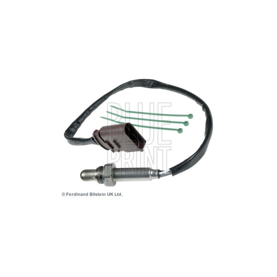 Blue Print Adz95310 Brake Hose