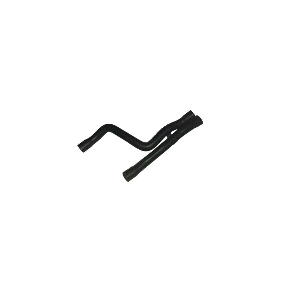 BUGIAD Bsp24160 Radiator Hose