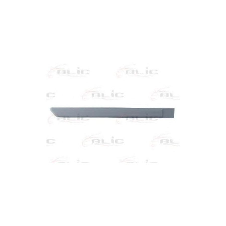 Blic 5703-04-2008478P Trim / Protective Strip, Mudguard for Fiat Panda II Hatchback (169)