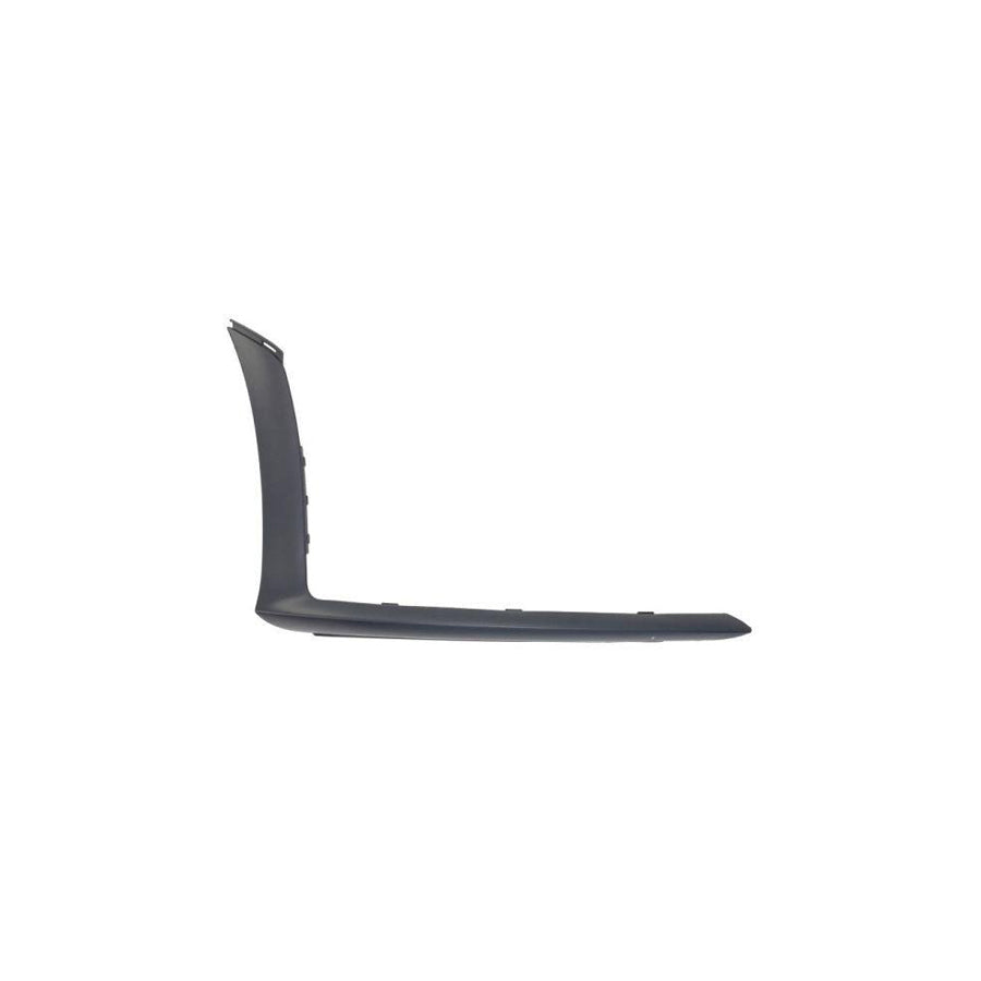 Blic 5703-05-3556922P Bumper Moulding