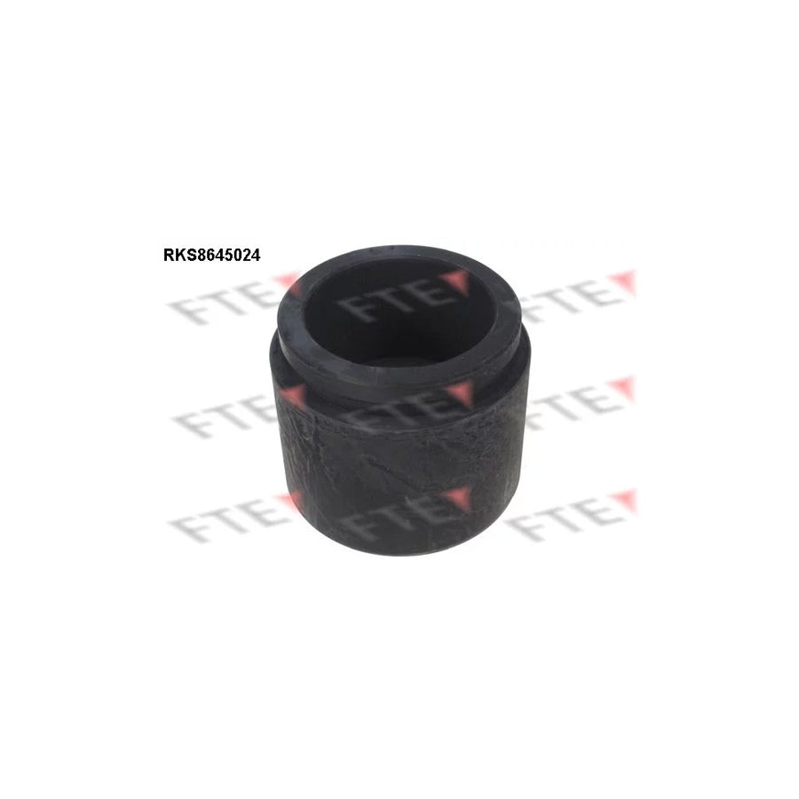 FTE 9313399 Piston, Brake Caliper