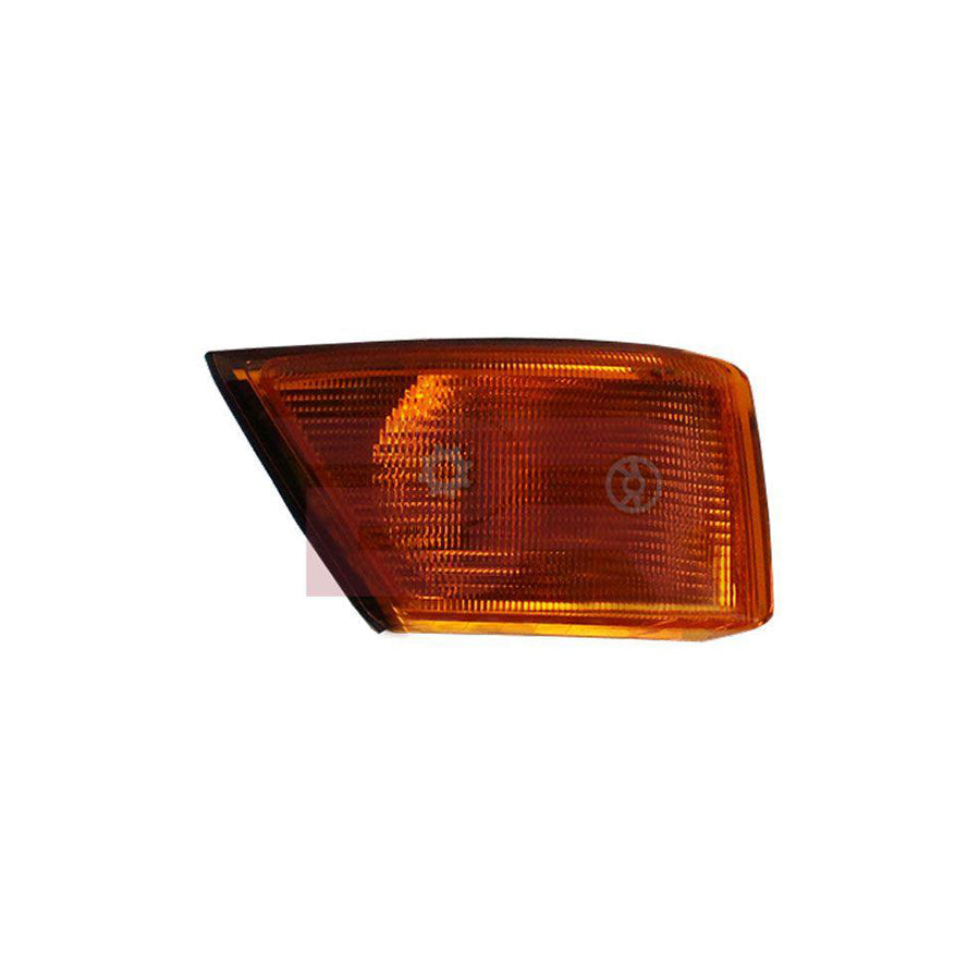 Botto Ricambi Brel0426 Side Indicator for Iveco Daily